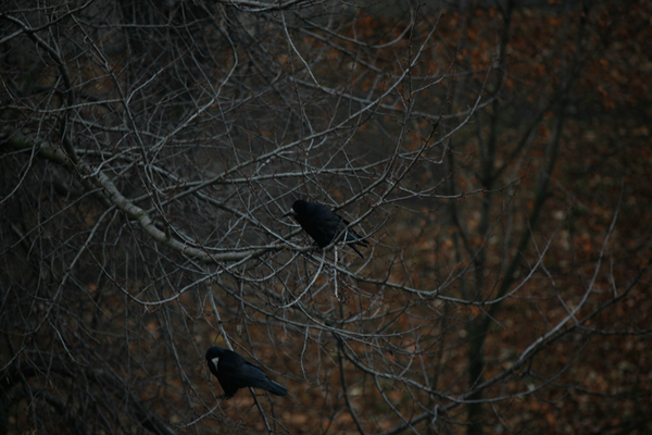 527 :: The waiting place